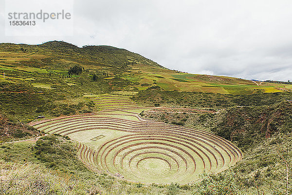 Der berühmte peruanische Flecken Muräne in Peru