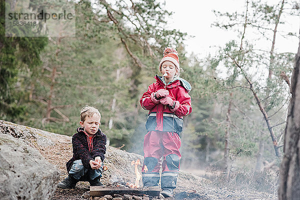 Bruder und Schwester kochen Marshmallows am Lagerfeuer in Schweden