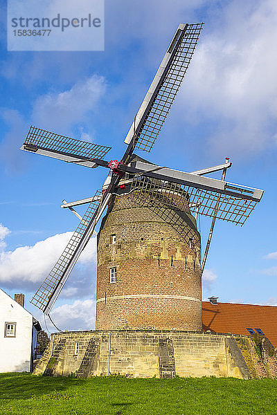 Turmmühle der Windmühle von Gronsveld  Maastricht  Limburg  Niederlande