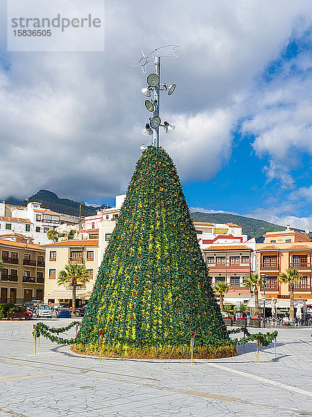 Weihnachtsbaum auf der Plaza de la Patrona de Canarias bei der Basilika