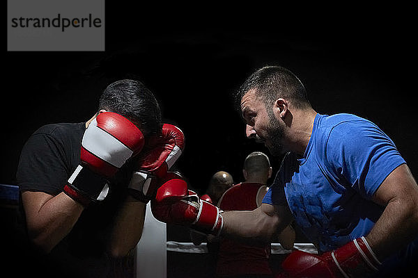 Zwei Boxer trainieren auf einem Ring