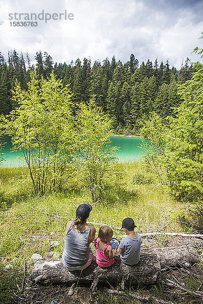 Rückansicht der Mutter  die mit ihren beiden kleinen Kindern in der Natur sitzt.