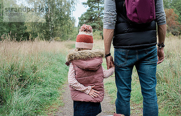 junges Mädchen  das die Hand seines Vaters hält und im Herbst im Wald spazieren geht