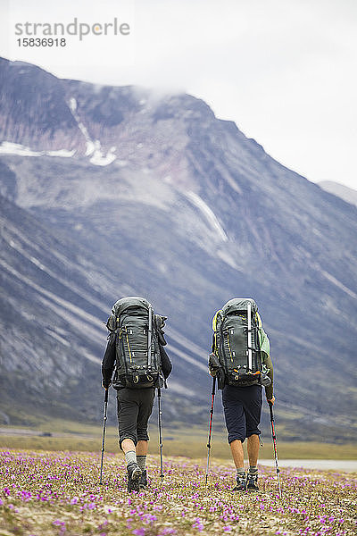 Rückansicht von zwei Rucksacktouristen  die an einem abgelegenen Ort  Baffin Island  wandern.