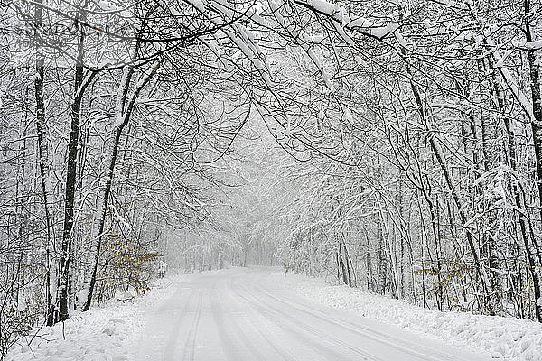 Michigan Winterfahrt auf schneebedeckter Straße