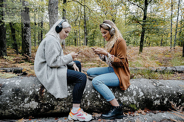 Frauen streamen Video auf ihr Smartphone in einem abgelegenen Wald