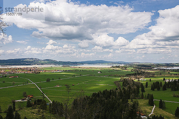 Feldlandschaft