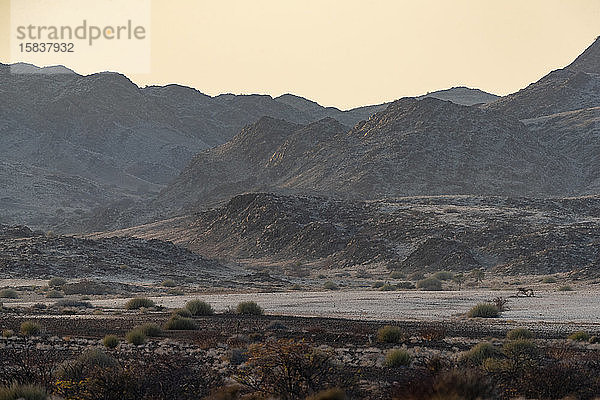 hügelige und trockene Landschaft von Namibia bei Sonnenaufgang