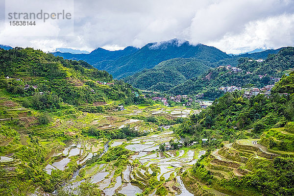 Banaue Reis-Terrassen  Verwaltungsregion Cordillera  Philippinen