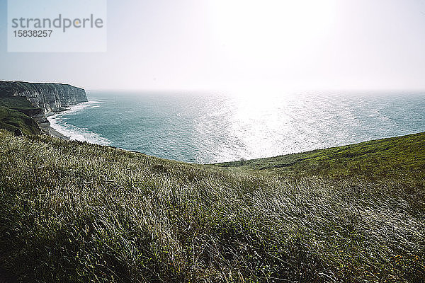 Grünes Gras an der Küste der Normandie an einem sonnigen Tag