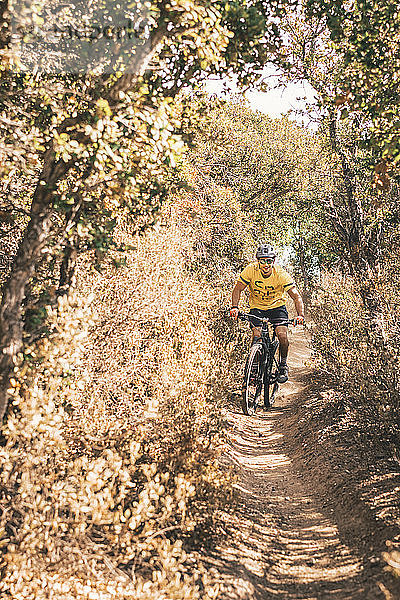 Junge Männer fahren Mountainbike auf staubigem Singletrail