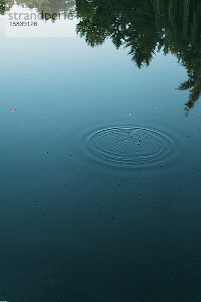 Ð¡Kreise auf dem Wasser mit Spiegelung der Bäume