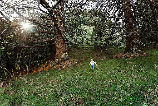 Kind rennt an einem sonnigen Tag einen grasbewachsenen Hügel hinauf zu großen Bäumen