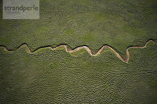 Trockener Fluss  der geometrisch im grünen Feld fließt