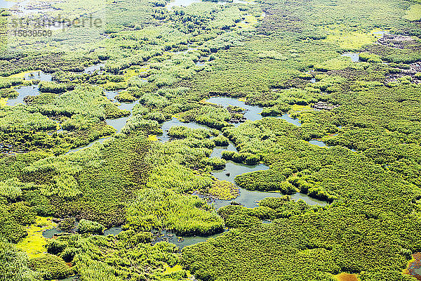 Ein Blick aus der Luft auf das Elefantenmoor  ein riesiges Feuchtgebiet im Shire-Tal in Malawi  Afrika.