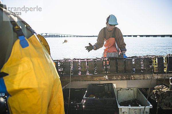 Frau arbeitet auf einem Muschelboot in der Bucht von Narraganestt