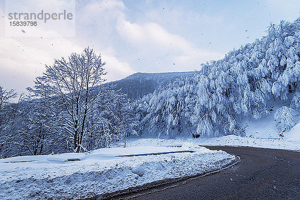 Straße im Winter. Landstraße durch Wald. Reisekonzept.