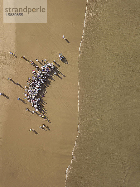 Luftaufnahme der balinesischen Zeremonie am Strand