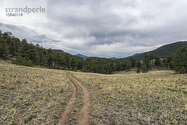 Wanderweg in der Wildnis des Lost Creek