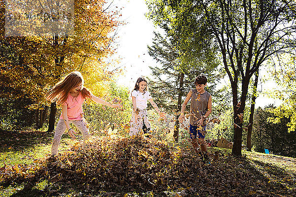 Drei junge Freunde spielen im Herbstlaub im Freien