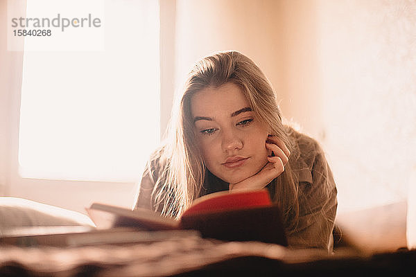 Junge Frau liest zu Hause im Bett liegend ein Buch