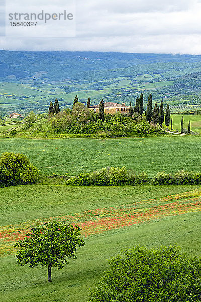 Podere Belvedere bei San Quirico d'Orcia  Val d'Orcia  Toskana  Italien