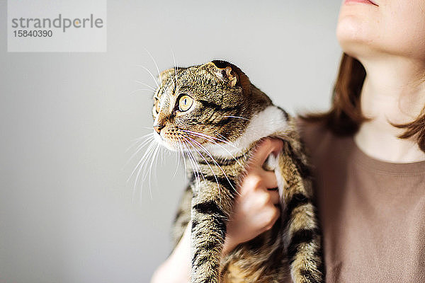 Junge Frau hält schöne Katze auf weißem Hintergrund