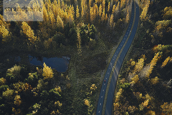 Asphaltstraße durch farbenfrohen Herbstwald