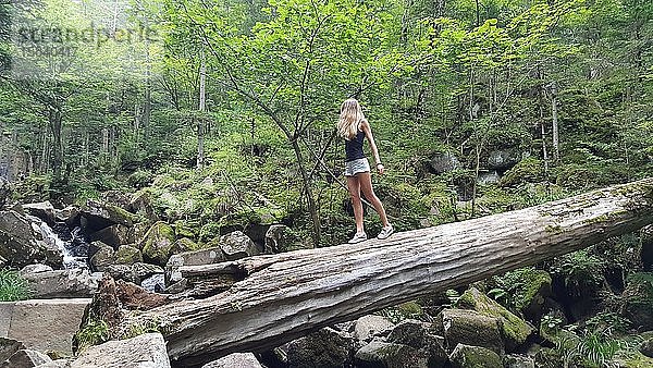 Ð ÐJunges Mädchen geht auf einem Baumstamm im Wald