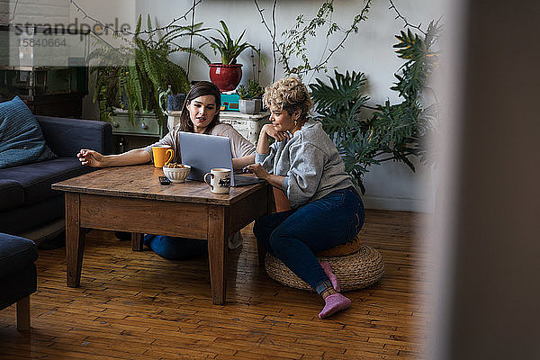 Junge und mittlere erwachsene Mitbewohner mit Laptop am Tisch gegen Topfpflanzen im Wohnzimmer