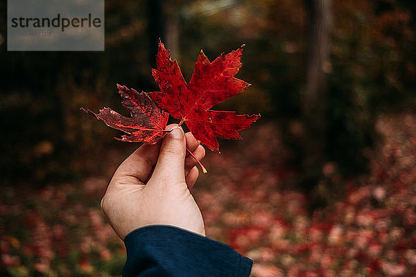 Frau  die ein rotes Blatt vor sich hält