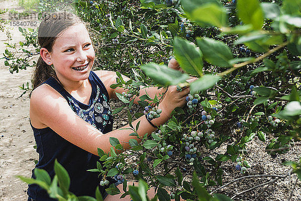 Lächelndes Mädchen beim Blaubeerenpflücken auf einer Blaubeerfarm