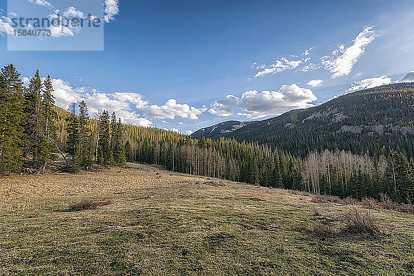 Landschaft in der Pecos-Wildnis