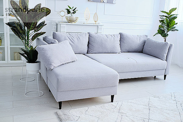 ein graues Sofa und Blumentöpfe stehen in der Mitte eines stilvollen Raumes