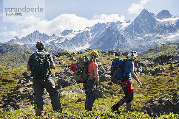 Drei Wanderer genießen die Aussicht auf die Talkeetna-Berge  Alaska