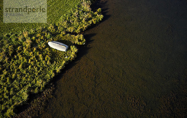 Wunderschöner Blick auf einsames weißes Holzboot  das am grasbewachsenen Strand des Flusses austrocknet