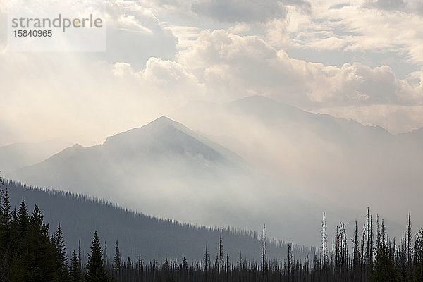 Borealer Wald verbrannt und ein Waldbrand wütet auf dem Octopus Mountain im Kootenay-Nationalpark  Kanada. Die Teersande von Alberta in Kanada sind das größte Industrieprojekt der Welt  und die w