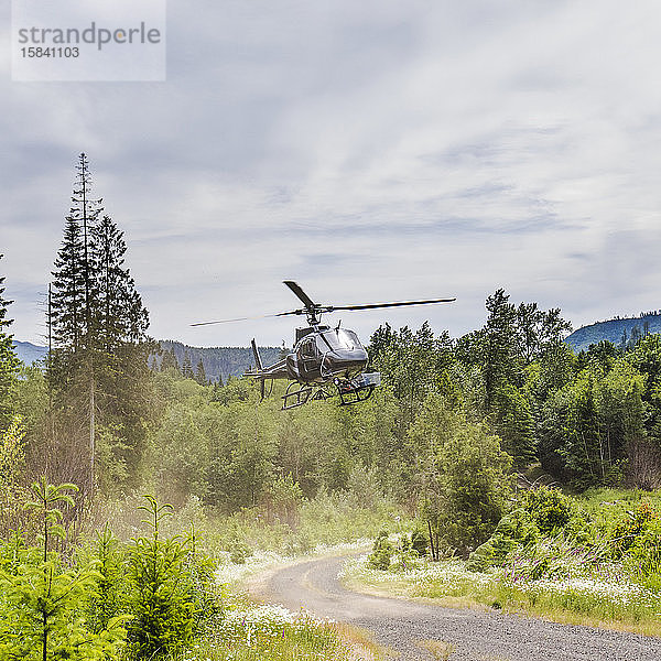 Hubschrauber landet auf einer Schotterstraße im Wald.