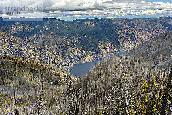 Der Chelan-See ist von verbrannten Bäumen aus Waldbränden umgeben