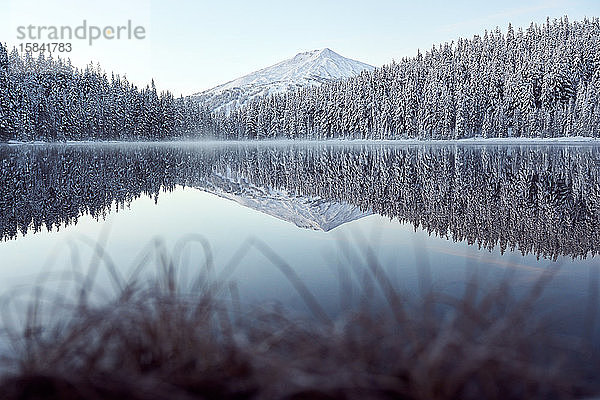 Landschaftlich reizvoller See im Winter mit schneebedeckten Bäumen und Bergen