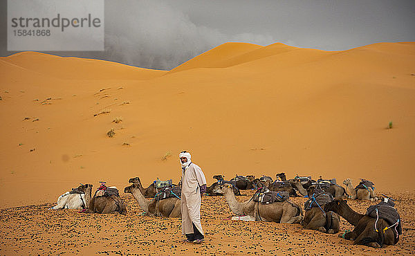 Berbermann mit seinen Kamelen