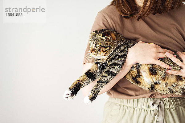 Junge Frau hält schöne Katze auf weißem Hintergrund