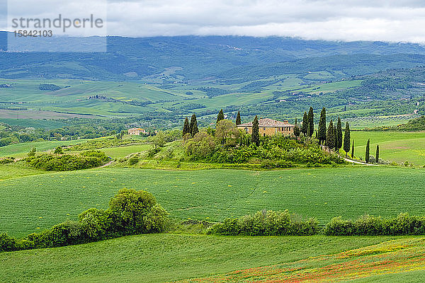 Podere Belvedere bei San Quirico d'Orcia  Val d'Orcia  Toskana  Italien