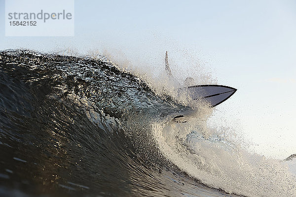 Surfer auf einer Welle