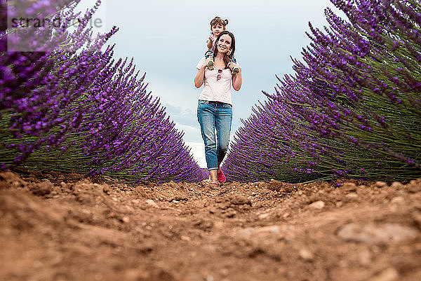 Mutter und Tochter spazieren im Sommer zwischen Lavendelfeldern