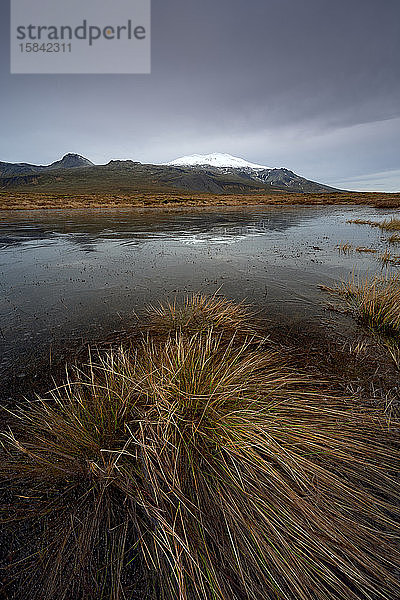 Grasbusch in der Nähe von gefrorenem Teich und Berg