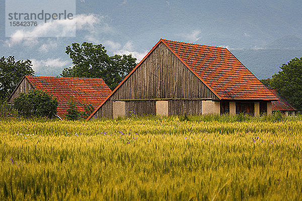 Felder und traditionelle Scheunen in der Region Turiec in der Mittelslowakei.