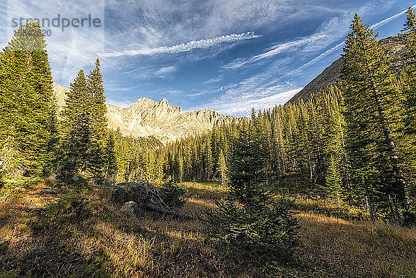 Berglandschaft in der Wildnis der Indian Peaks