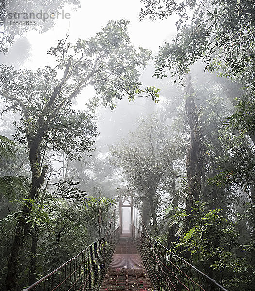 Eine Brücke im Nebelwald-Biosphärenreservat Monteverde Costa Rica