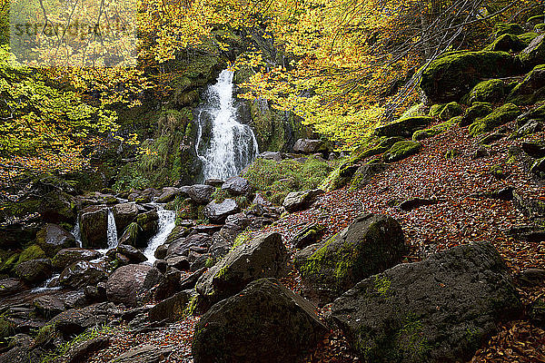 Wasserfall in einem herbstlichen Wald im Aspe-Tal.